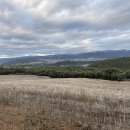 호평중앙약국 | 산티아고 순례길 ep9. 로스 아르코스(Los Arcos)