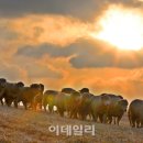 상서목장 이미지