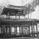 쑥대머리 - 안동시 | 쑥대머리