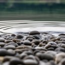 바람결-시간의 흐름 이미지