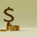 단행정사합동사무소 이미지