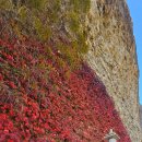 데미샘자연휴양림 이미지