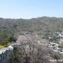 와룡공원길 이미지