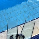 [09/23] 사진촬영 초급 과정(기초 사진 배우기) | 일산 프리다이빙 메르다이빙 센터 1레벨 체험 강습 후기