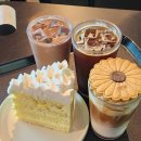 강화도 루비 | 인천 강화도 마호가니 카페 후기:: 포토존 많은 뷰 맛집