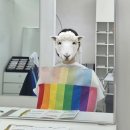 새희망지역아동센터 | 안산 퍼스널컬러 후기｜여쿨인줄 알았는데 봄웜 라이트?
