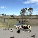 피리부는사나이 | 디지털 노마드의 삶.. 뜬금 없는 시드니 여행 2일차 후기