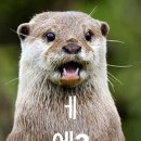 옥련당 - 중랑구 용마산로 554 | 옥련당