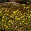 가천목장 이미지