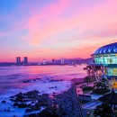 동백공원 Daum카페