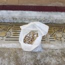 어울초병설유치원 이미지