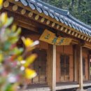 고요히 민박 네이버블로그
