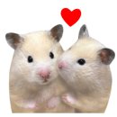 북경 선재도 본점 이미지