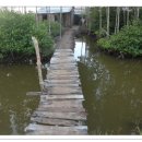 까마우 쌀국수 이미지