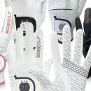 늘푸른 골프 이미지