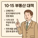 2021-1015 | 1015 부동산 대책 (25 . 10 . 15) : 부동산규제 핵심 정리, 전문가 의견, 팩트체크, 실수요자 의견 총정리