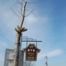 꽃가람펜션 | 2016 전라도 여행 :: 순천여행의 숙소, 꽃가람 한옥펜션