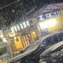 닭집아이 이미지