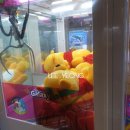 오빠뽑아줘 이미지