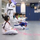 진영라온태권도장 이미지