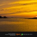 산포별장 이미지