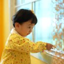 베베앙슈 이미지