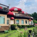 빨강버섯 스머프 | 포천 펜션 [빨강버섯 스머프펜션]🍄