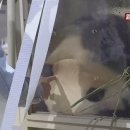 풍무로 68번길 이미지