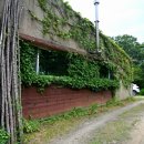 멍라이프 이미지