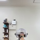 강쌤 헤어