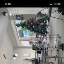 레이지파우스 이미지