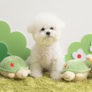 놀이를 움직이는 아이들,  아니마시아 | 움직이는 강아지 장난감 노즈워크 가능한 바잇미 점핑부기 개조타