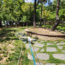 세븐일레븐 대구중리체육공원점 이미지