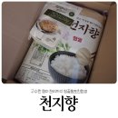 맛있는 쌀 천지향 향이 좋은 쌀 추천 ft 땅끝황토친환경