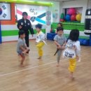 백호 합기도 1관 이미지