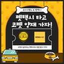 가자 펫택시 이미지