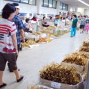 금산인삼쇼핑센타 이미지