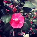 호텔갤럭시Ⅰ 이미지