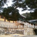 불국사카센타 이미지