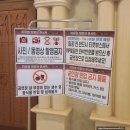 대한약사회 | 경희대 평화의 전당 좌석 주차 비용 &amp; [치유와 희망의 콘서트 - 대한약사회] 콘서트 후기