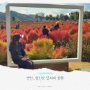 연천-1 | 가볼 만한 곳 l 연천 &#39;임진강댑싸리공원&#39; l 축제가 끝나고 다녀온 후기
