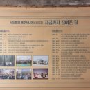 법인에루화