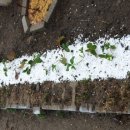 창대사료 이미지