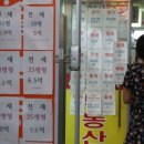 국민공인중개사무소 이미지