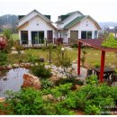 밤하늘펜션 이미지