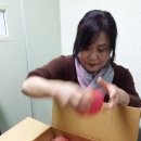 이요재 | #대월벌꿀농장 아카시아향. #괴산 정성농원 고냉지 사과.