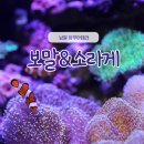 봉달 | [남원] 해수 수족관 아쿠아테라 보말 소라게 봉달 후기