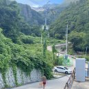 미타임하우스 | 울릉도 애견동반숙소추천 가성비 대형견 펜션 미타임하우스