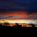 청당구장 이미지