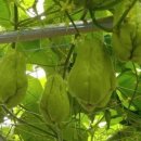 열매농장 이미지